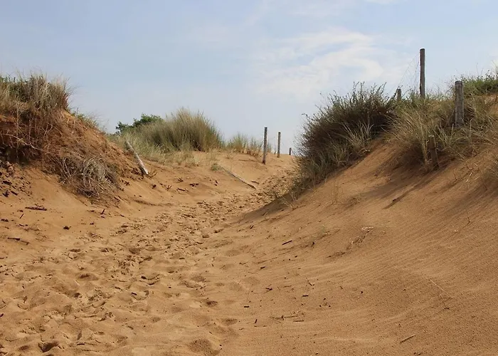Maison Renovee A 350M De La Plage Avec Terrasse Et Parking A Dolus-D'Oleron - Fr-1-246A-236 بيت للعطل Dolus d'Oléron